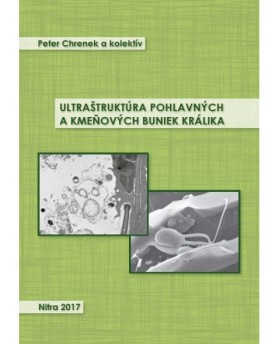 Ultraštruktúra pohlavných a kmeňových buniek králika