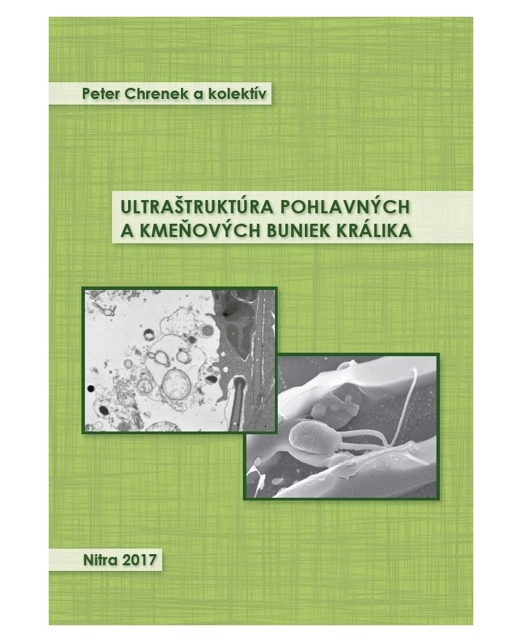 Ultraštruktúra pohlavných a kmeňových buniek králika
