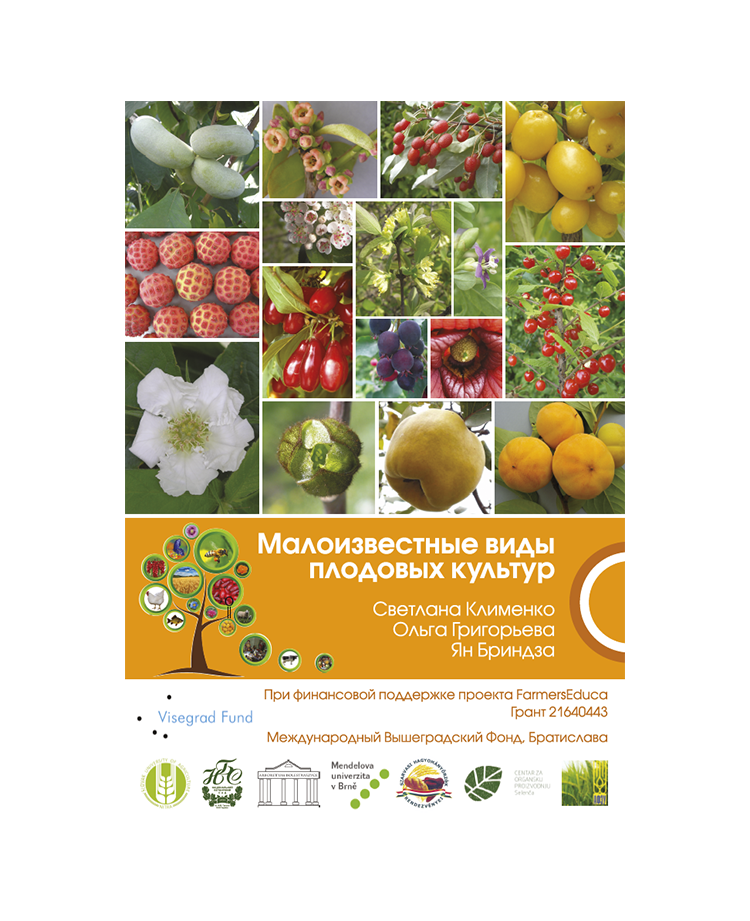 Малоизвестные виды плодовых культур