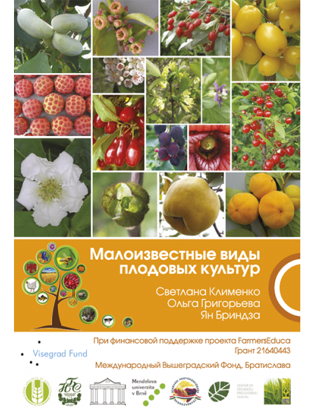 Малоизвестные виды плодовых культур