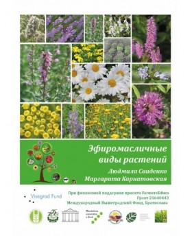 Essential Oil Plants