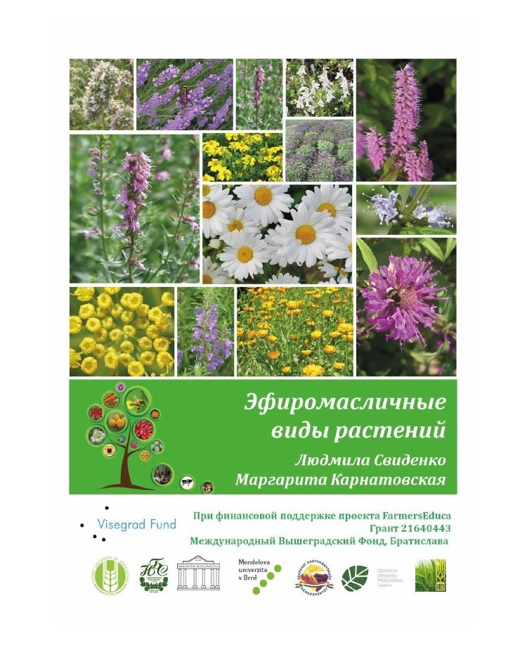 Essential Oil Plants