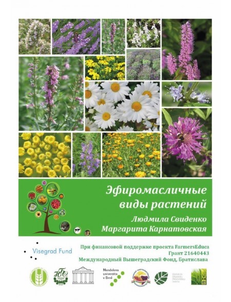 Essential Oil Plants