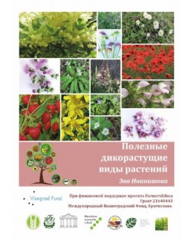 Useful Wild-growing Plant Species