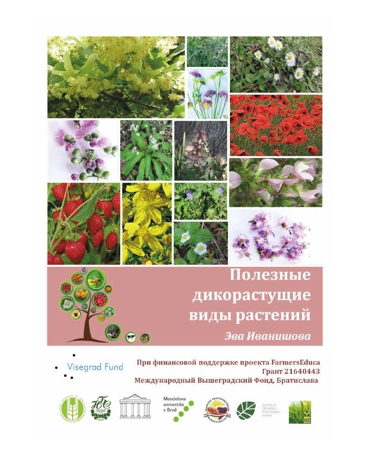 Useful Wild-growing Plant Species