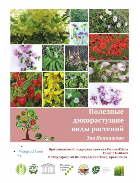 Useful Wild-growing Plant Species