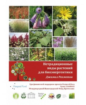 Non-traditional Plant Species for Bioenergetics