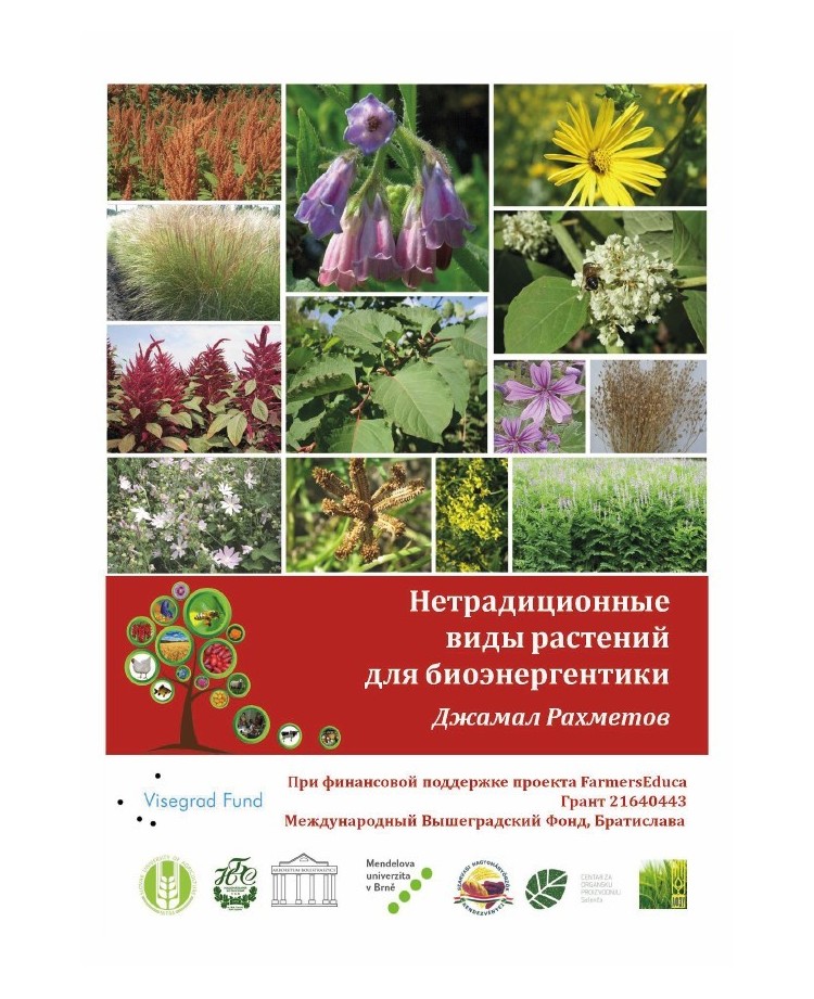 Non-traditional Plant Species for Bioenergetics