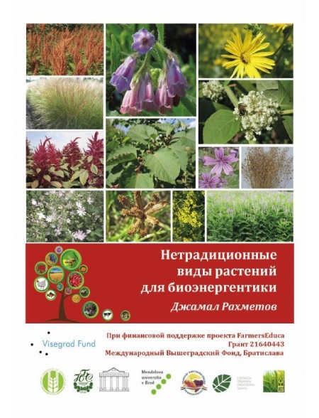 Non-traditional Plant Species for Bioenergetics