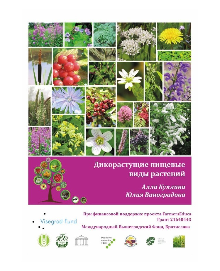 Wild-growing Edible Plants