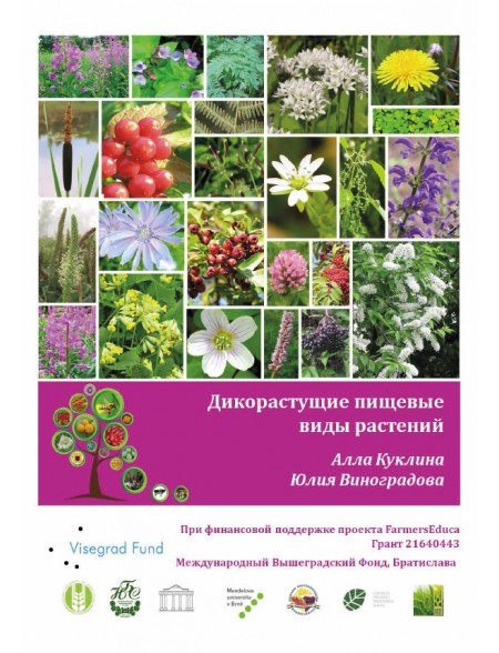 Wild-growing Edible Plants