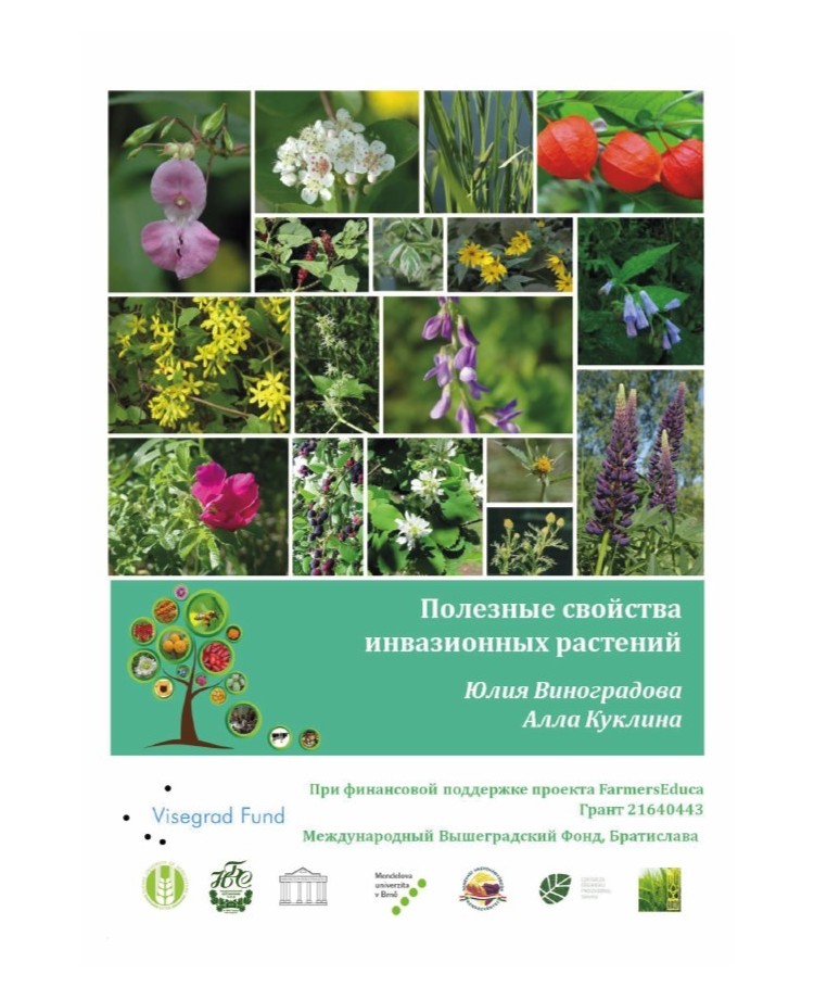 Useful Properties of Invasive Plants