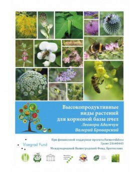 High Productive Plants for Bee Pastures