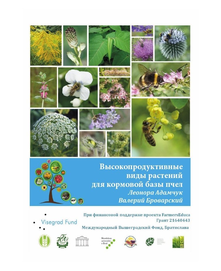 High Productive Plants for Bee Pastures