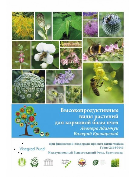 High Productive Plants for Bee Pastures