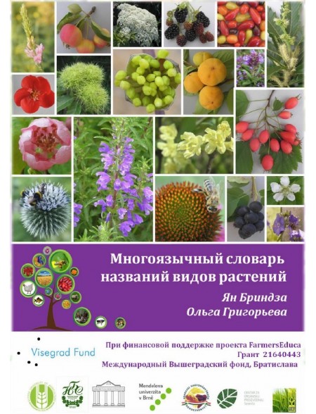Multilingual Plant Names Dictionary