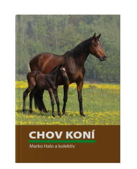 Chov koní