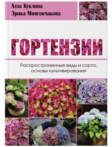 Гортензии - Распространенные виды и сорта, основы культивирования