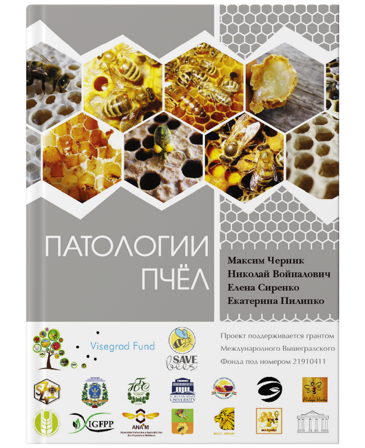 Патологии пчёл