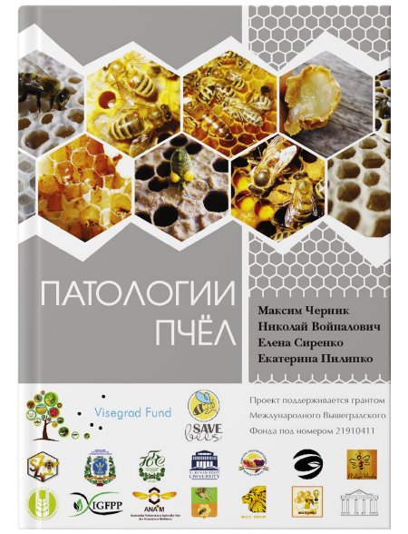 Патологии пчёл