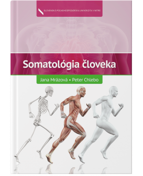 Somatológia človeka