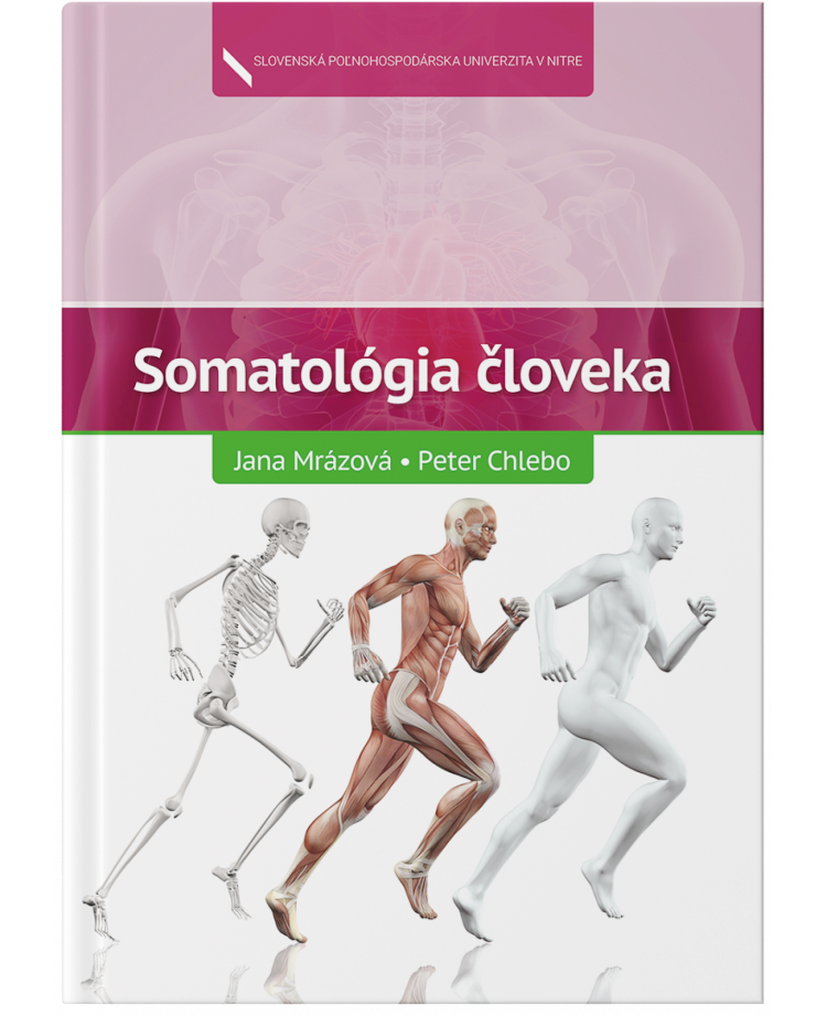 Somatológia človeka